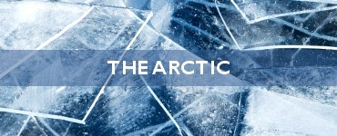 Quick Facts - The Arctic