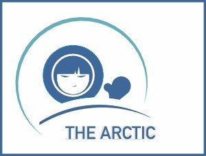 Arctic Portal The Arctic Portlet