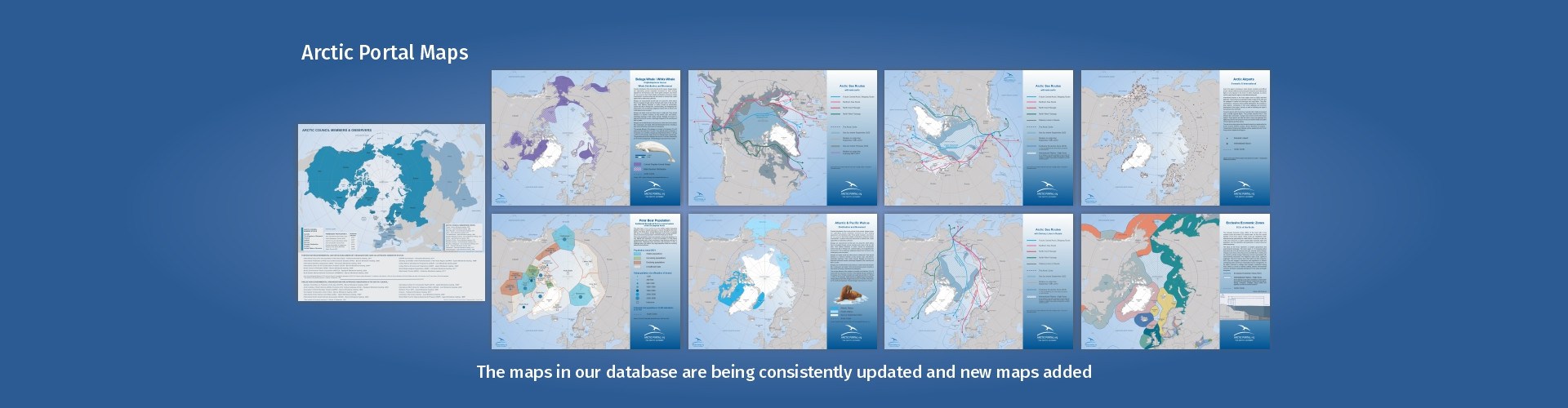 Arctic Portal multiple maps with arctic data