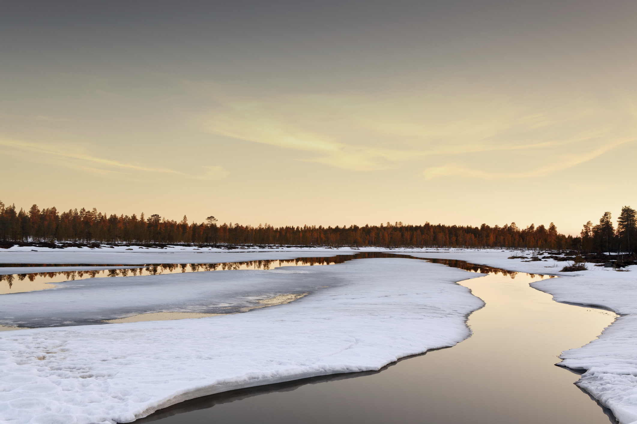 Winter Landscape