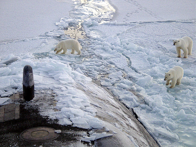 Polar bears and Submarine