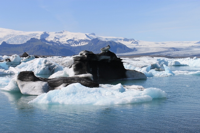 Melting Arctic ice