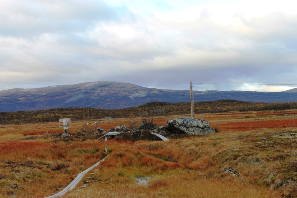 Permafrost research site, Abisko, northern Sweden