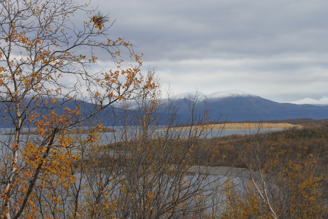 Autumn in the Arctic. Abisko, northern Sweden