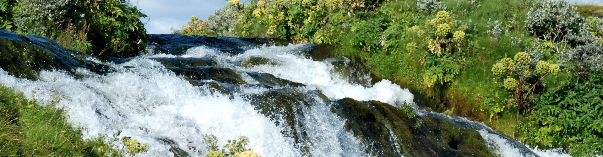 River during summer time