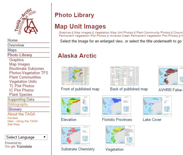 Arctic Geobotanical Atlas