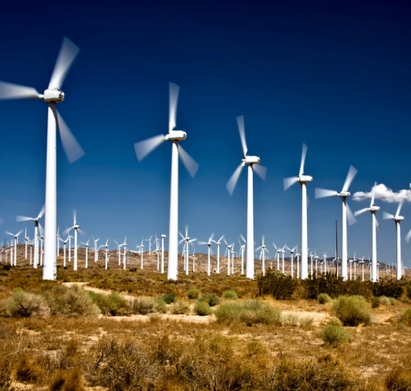 Environment & Science