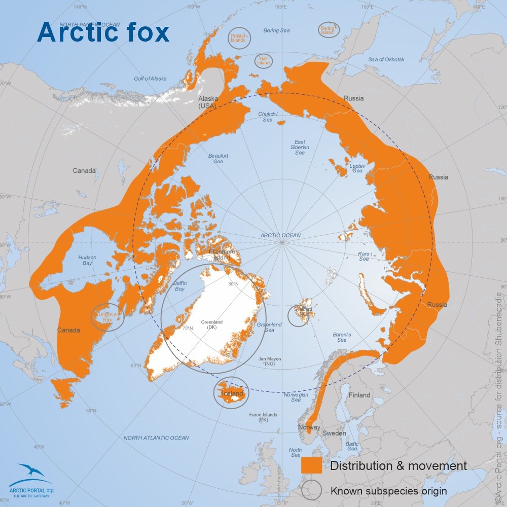 Arctic Fox (Vulpes Lagopus) - World Map