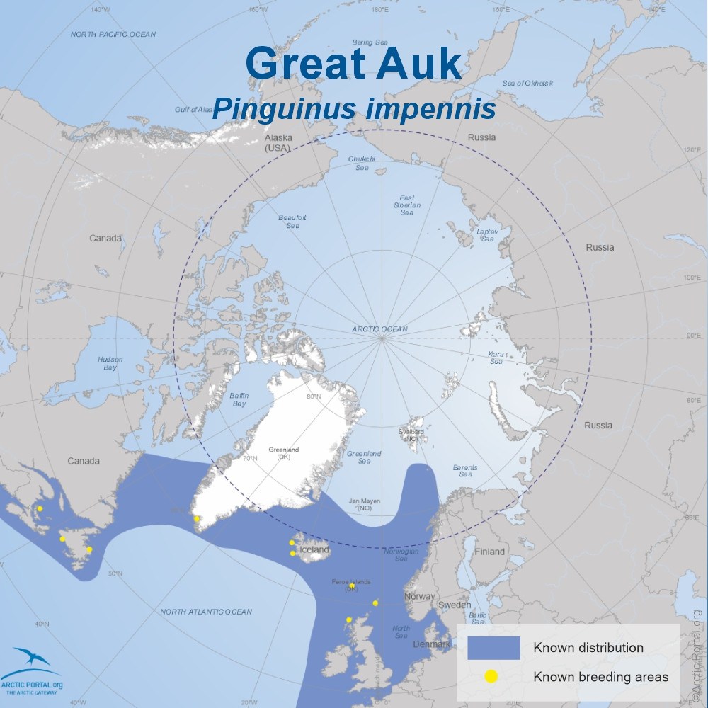 Great Auk - World Map