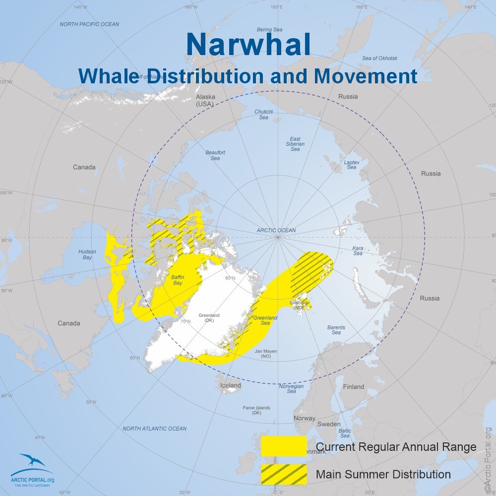 Narwhal - World Map distribution and movement