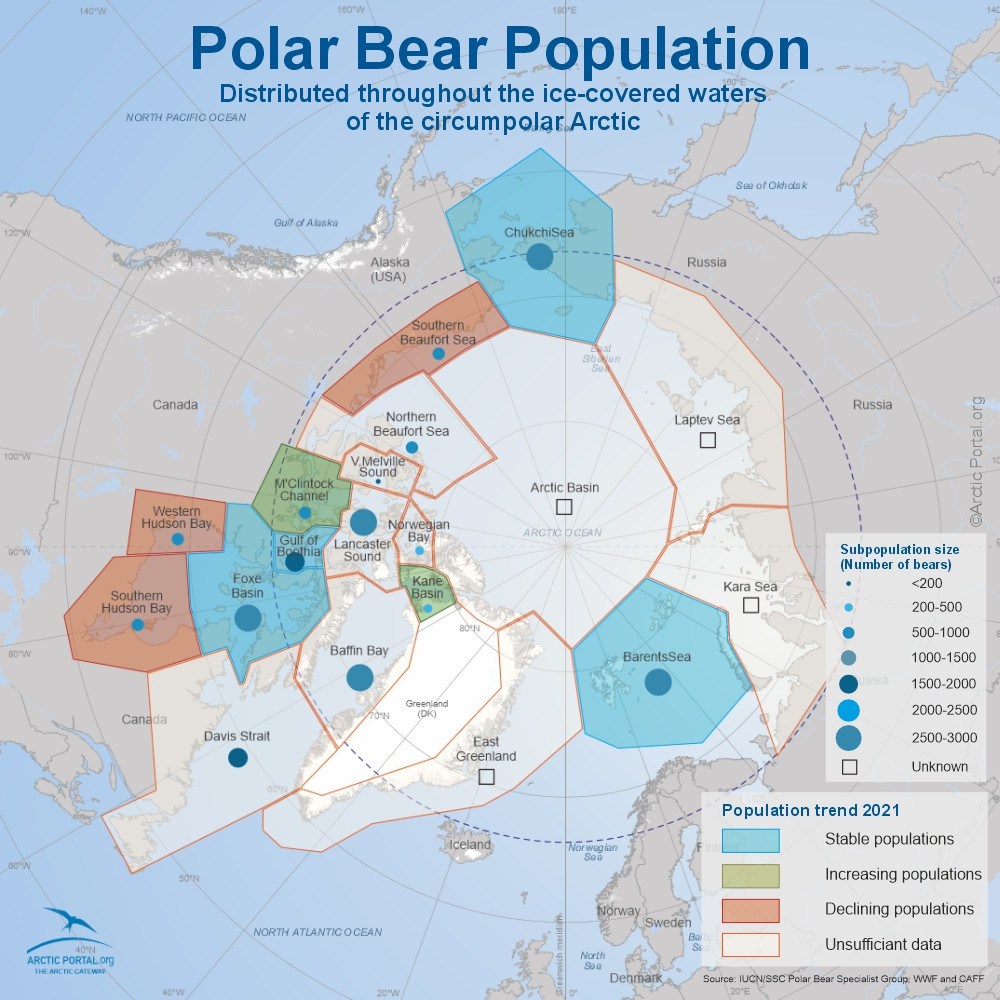 Polar Bear (Ursu maritimus) - World Map Population