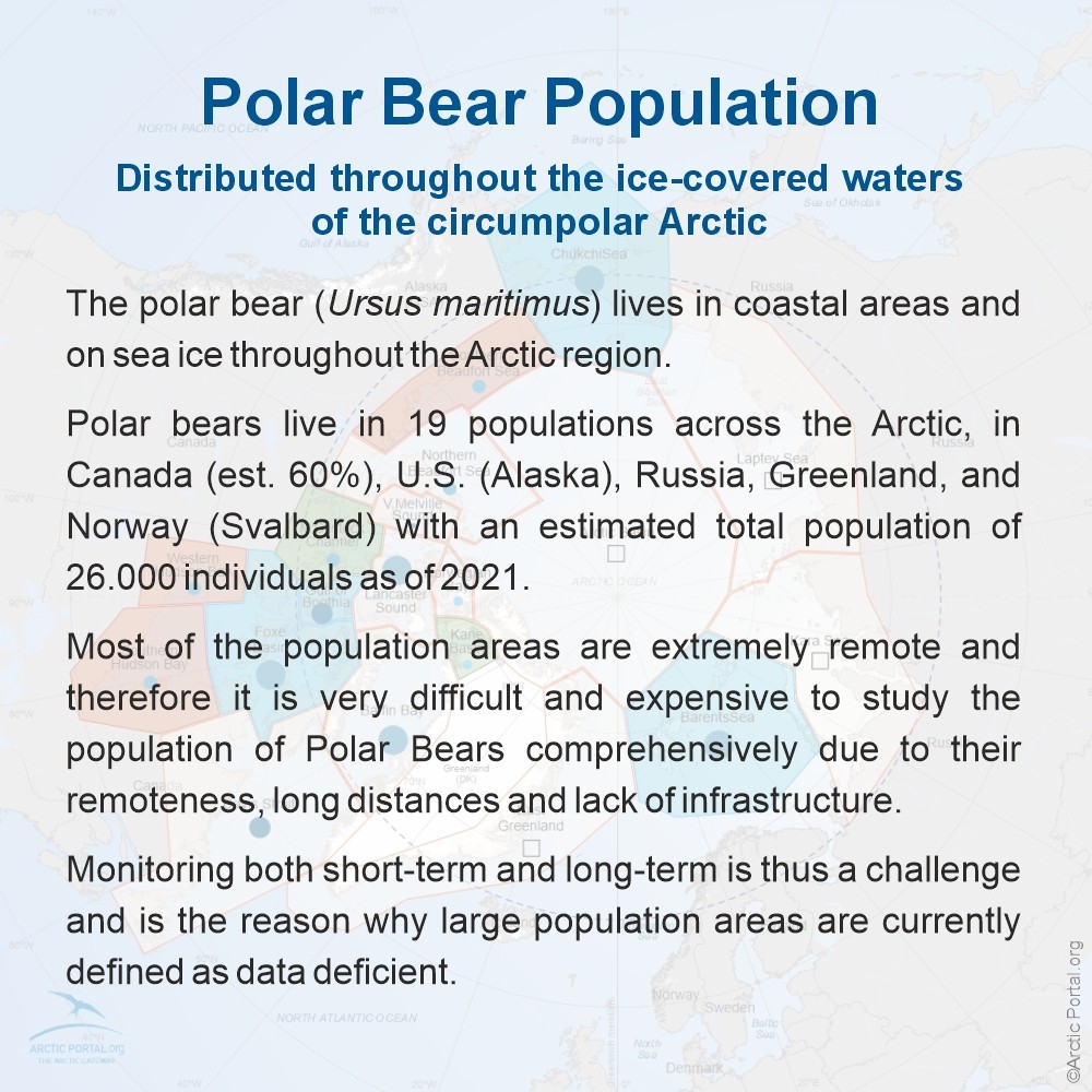 Polar Bear (Ursu maritimus) - Distribution