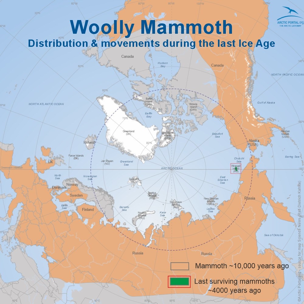 Wolly Mammoth (Mammuthus primigenius) - World Map