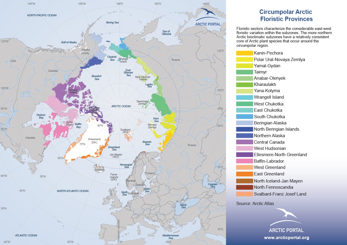 Arctic Portal Map - Circumpolar Arctic Floristic Provinces