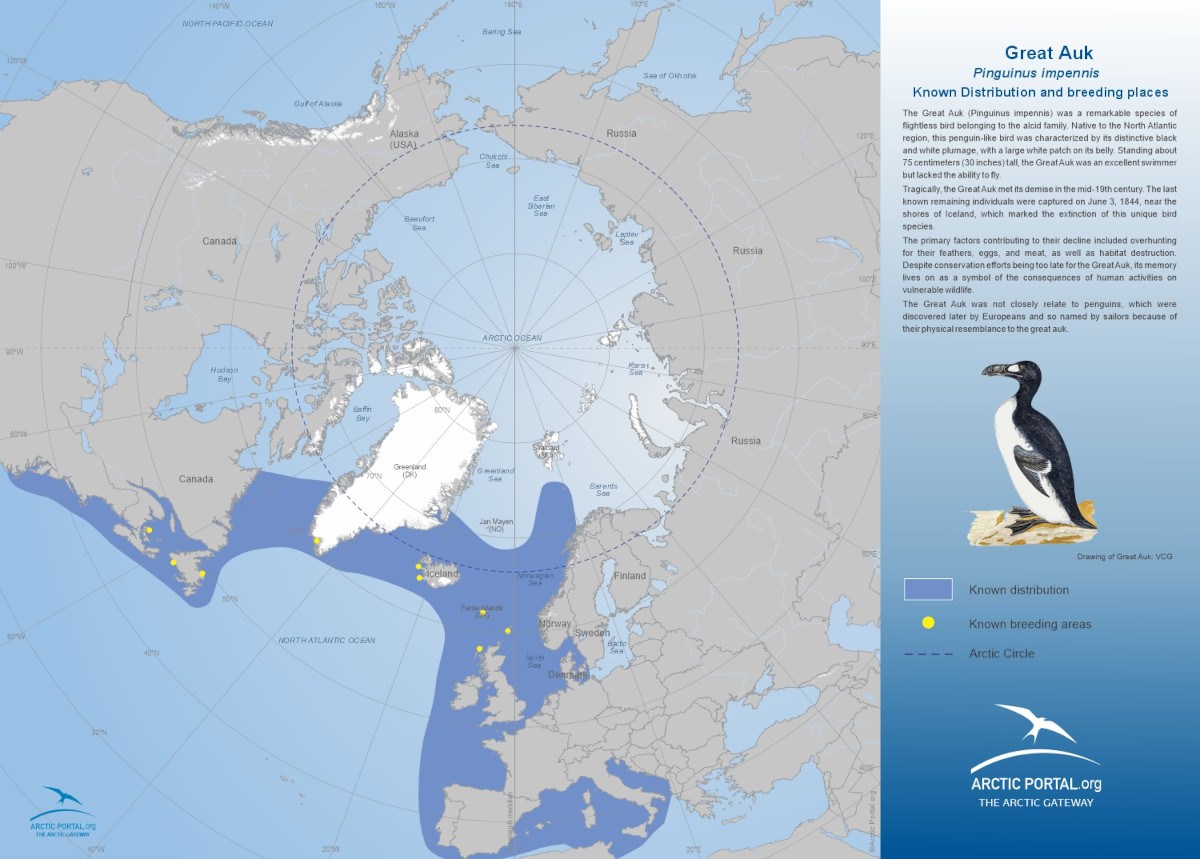 Arctic Portal Map - Great Auk Known Distribution and Breeding Places