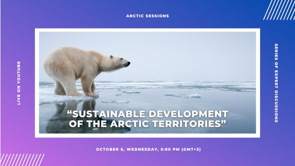 Sustainable Development of the Arctic Territories