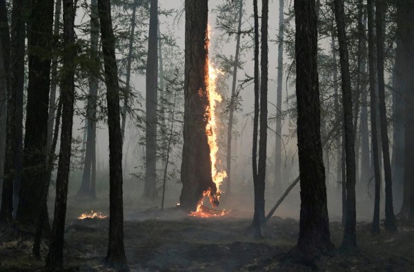 Wildfire in Russia