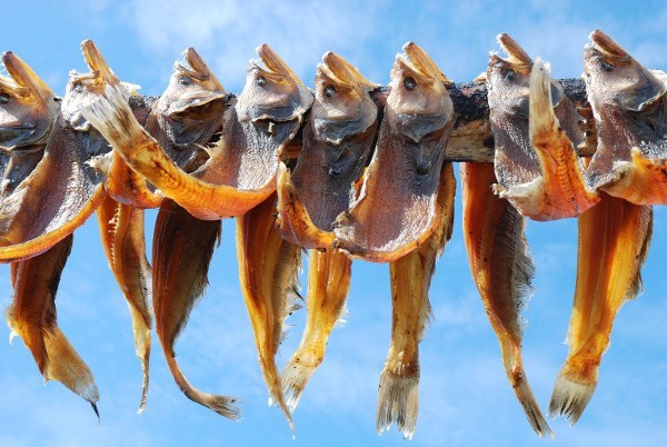 Dry Fish