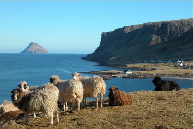 Hvalba, Suðuroy