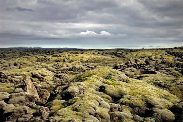 Lava and moss