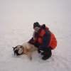 Arctic Fox Expedition
