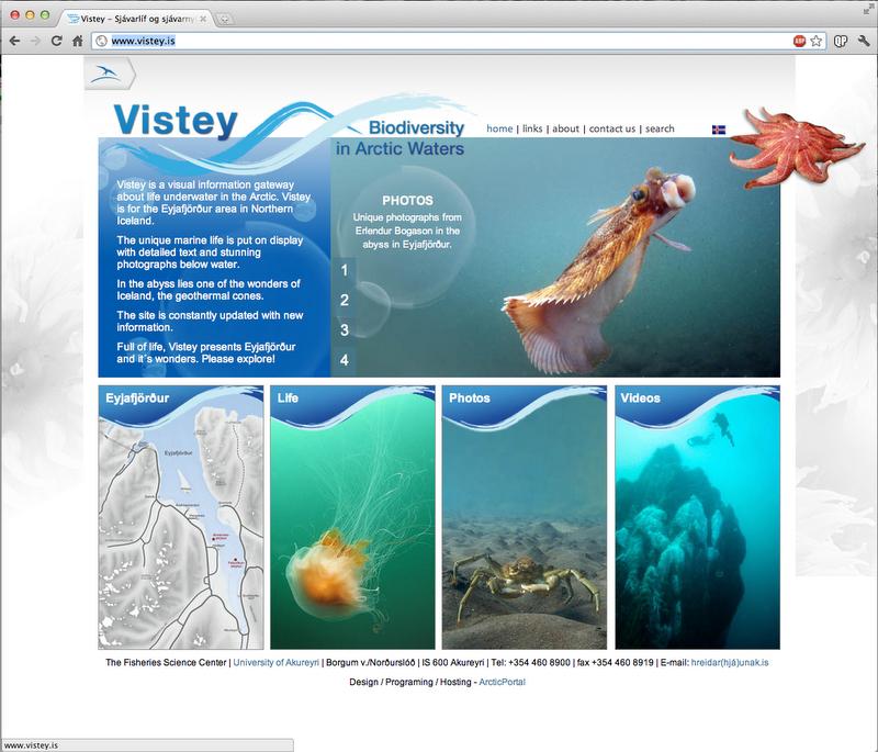 Vistey website
