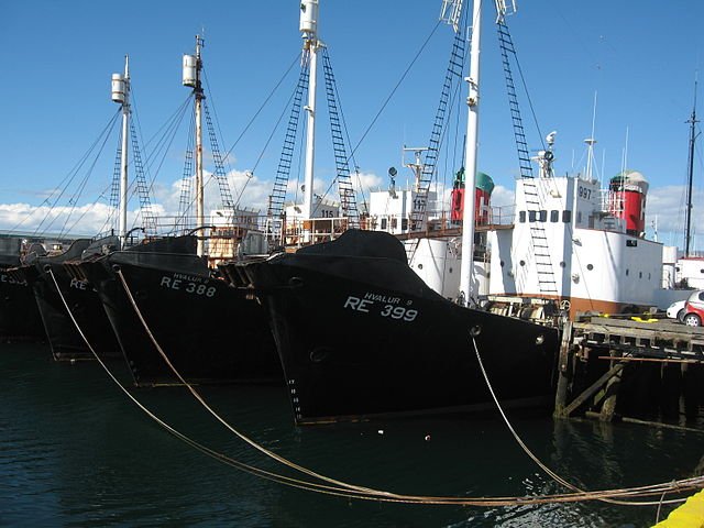 Icelandic whalers in Reykjavik