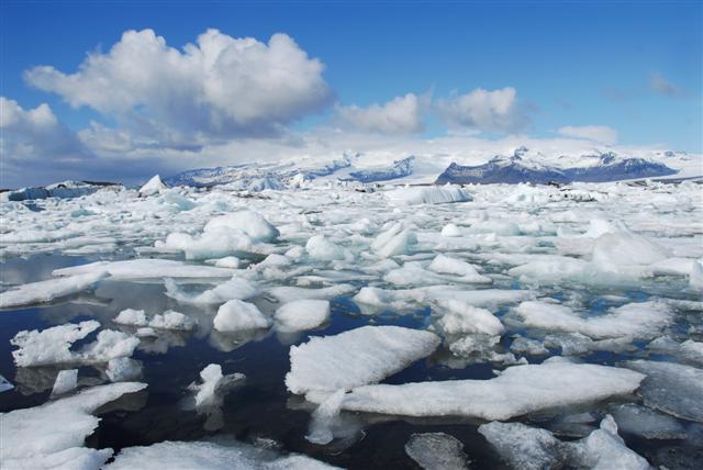 Sea ice in the arctic