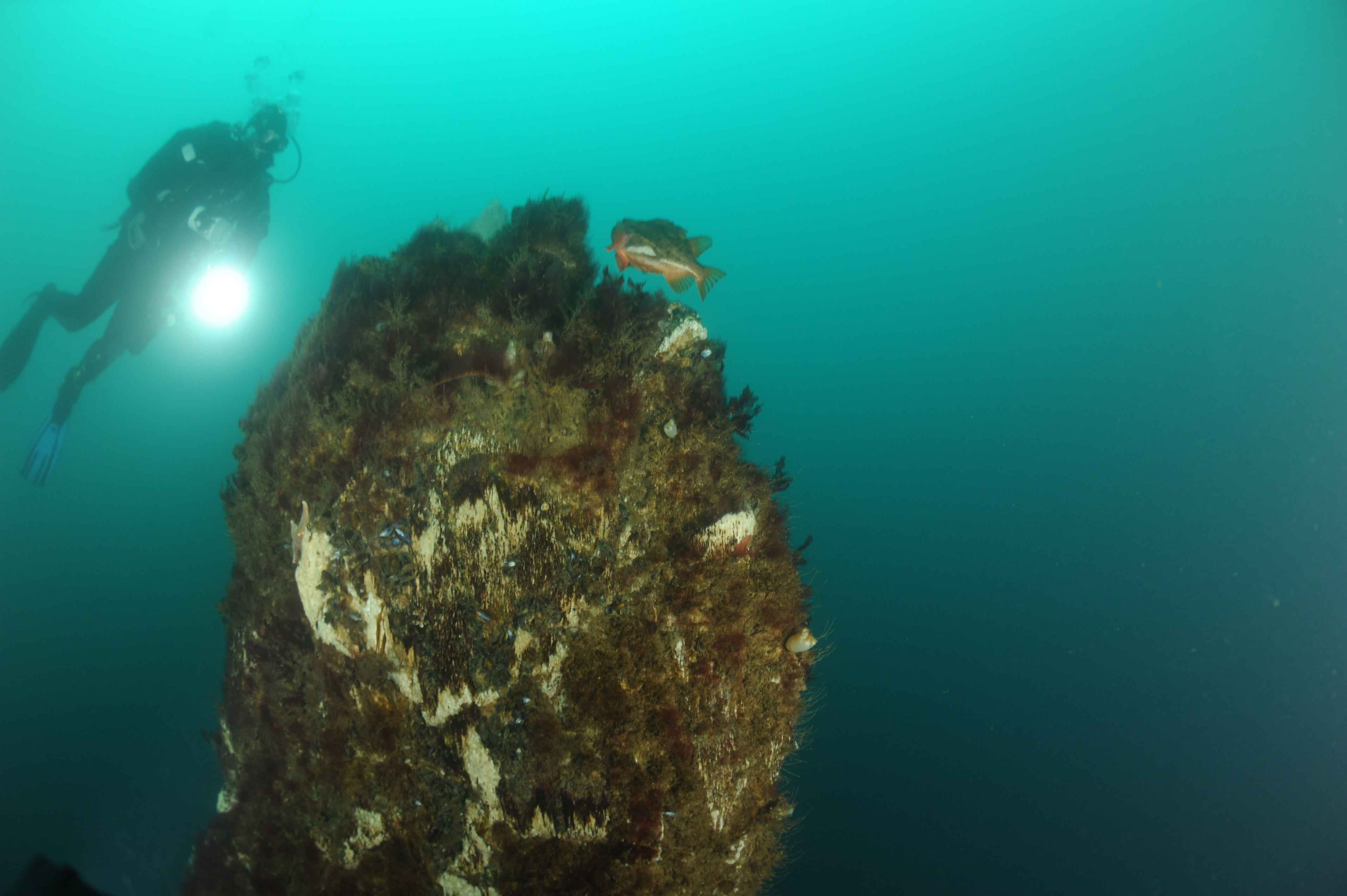 Strýtan underwater Eyjafjörður