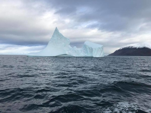 Iceberg at the mouth of Eyjafjörður