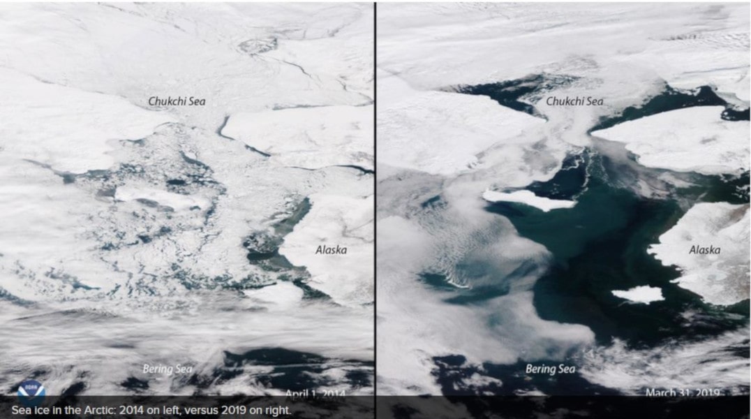 Chukchi Sea Ice coverage