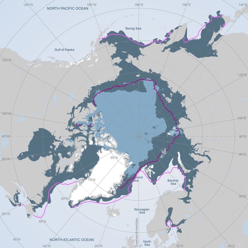 Arctic Sea Ice.