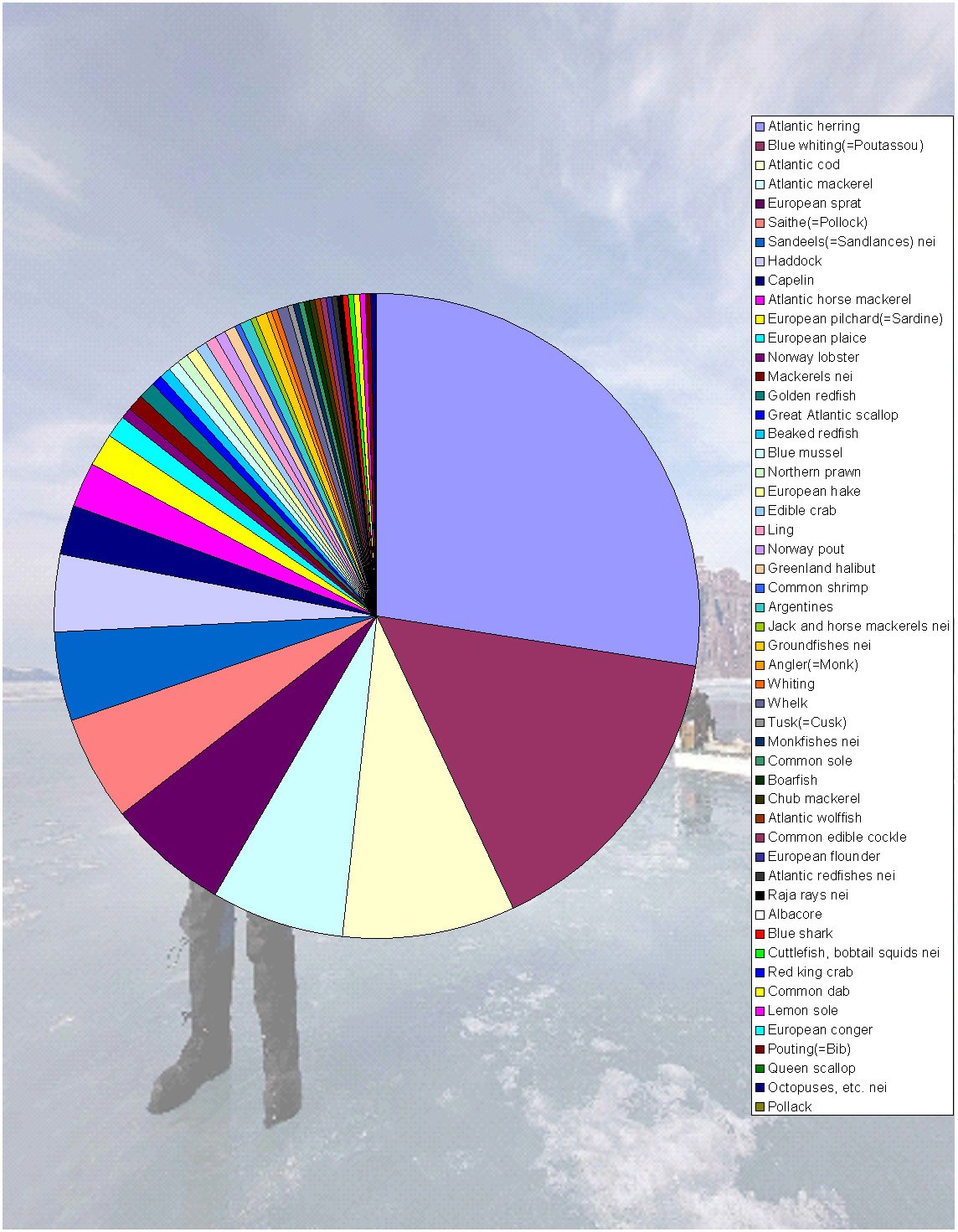 Catch by species in the northeast